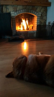 IMG_20180218_164500_HDR.jpg