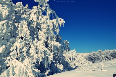 ro.jpg (381.57 KiB) Przejrzano 5831 razy ro.jpg