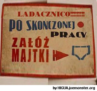 b31a9239ladacznico.jpg