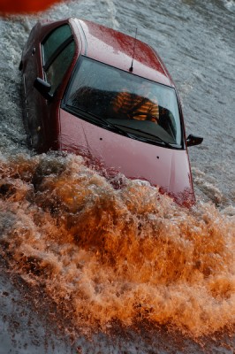 DSC_0658-1.jpg (254.92 KiB) Przejrzano 818 razy DSC_0658-1.jpg