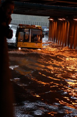 DSC_0681-1.jpg (237.42 KiB) Przejrzano 826 razy DSC_0681-1.jpg