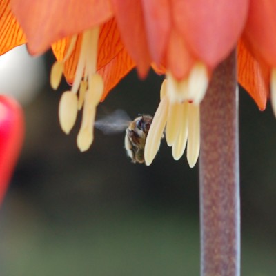 DSC_1606-1.jpg