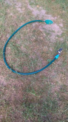 IMG_20180630_172946.jpg