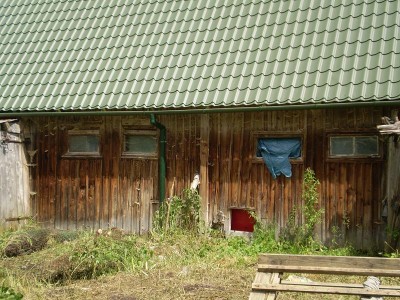 B8.JPG