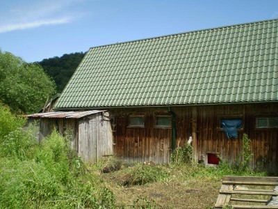 B10.JPG