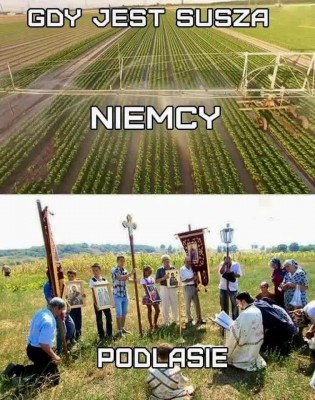 susza.jpg