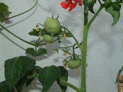 2009_07070029.JPG