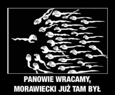 morawiecki.png