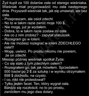 osioł.JPG