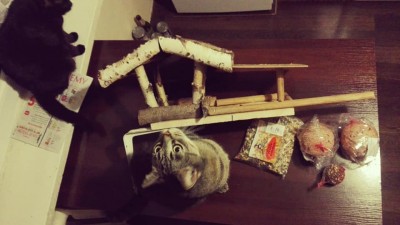 fot1.jpg (46.58 KiB) Przejrzano 1003 razy fot1.jpg