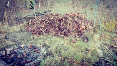 fot2.jpg (130.94 KiB) Przejrzano 1032 razy fot2.jpg