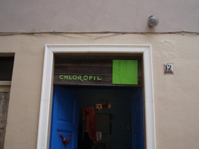 090826 Chlorofil.JPG