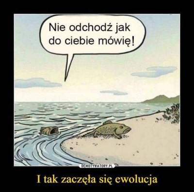 ewolucja.jpg