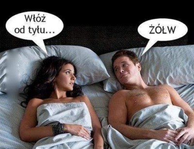 żółw.jpg