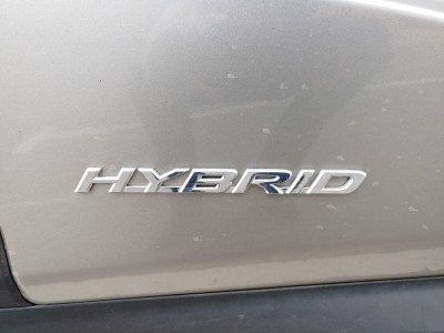 hybryd.jpg