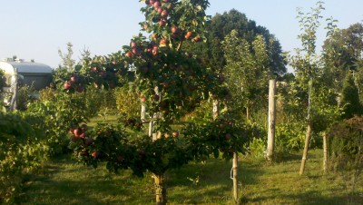 jona.jpg (973.83 KiB) Przejrzano 1744 razy jona.jpg