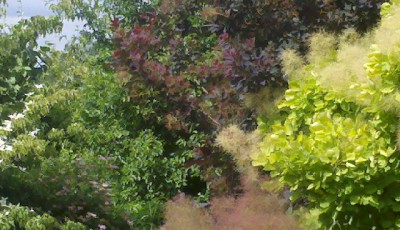 2019-06-28_10-45-06_772.jpg (181.06 KiB) Przejrzano 1436 razy 2019-06-28_10-45-06_772.jpg