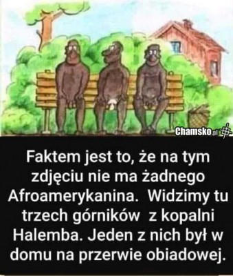 Górnik z kopalni Halemba.jpeg