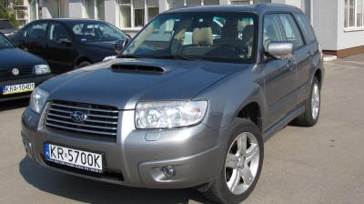 forester 1.jpg