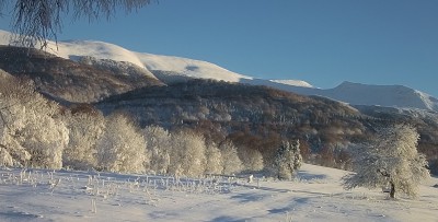 vy.jpg (1.22 MiB) Przejrzano 4431 razy vy.jpg