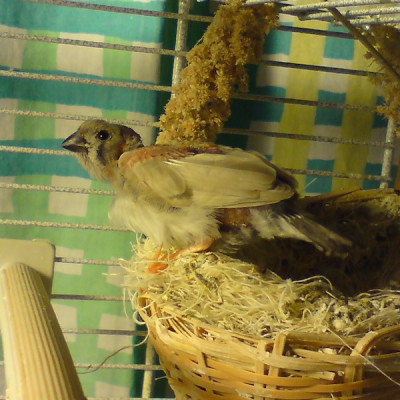 DSC00401-11.jpg