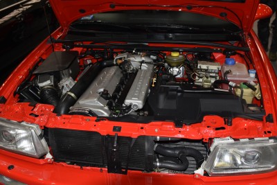 DSC_5665.JPG