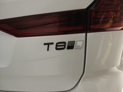 t8.jpg