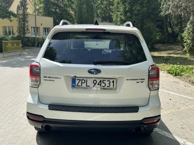 IMG_3151 Duży.jpeg
