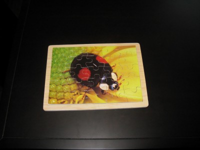puzzle2.JPG