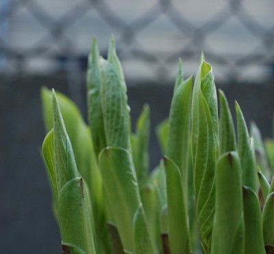 3.jpg (217.36 KiB) Przejrzano 486 razy 3.jpg