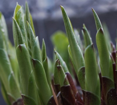 5.jpg (212.81 KiB) Przejrzano 483 razy 5.jpg