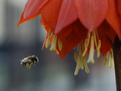 10aa.jpg (189.63 KiB) Przejrzano 481 razy 10aa.jpg