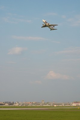 6b.jpg