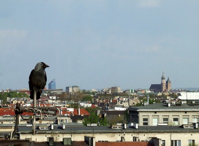 2008_04280005.JPG