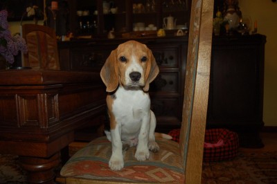 DSC_0112.JPG