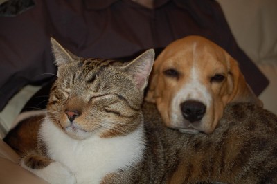 DSC_0163.JPG