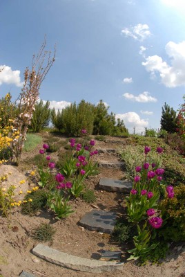 DSC_2167.jpg