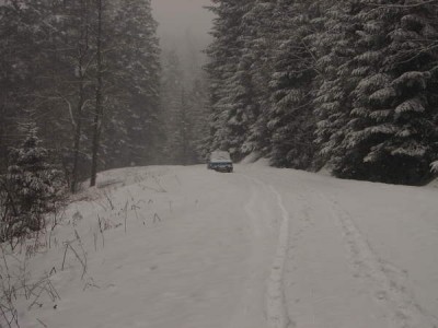 maluch1.jpg