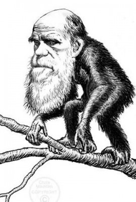 darwin-monkey.jpg