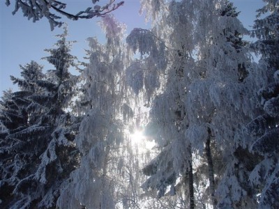 DSC08173.JPG