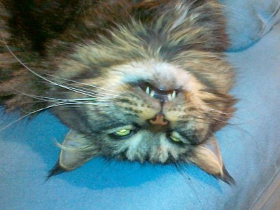 20101002058.jpg