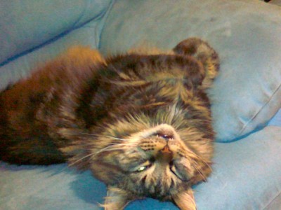 20101002059.jpg