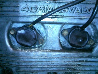 SML_IMG709.jpg