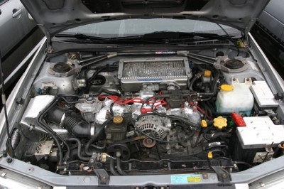img3295do.jpg
