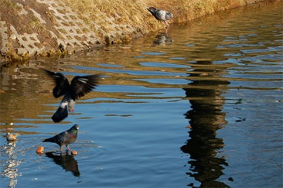 Untitled-2.jpg