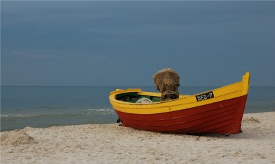 lodka.jpg (153.08 KiB) Przejrzano 1073 razy lodka.jpg