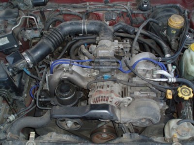 04subaryna.JPG