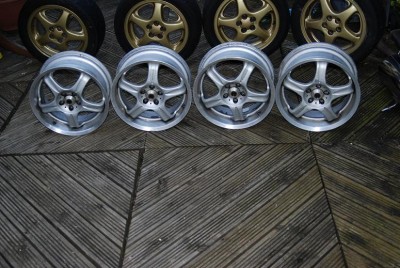 Rays volk av rev 2.JPG