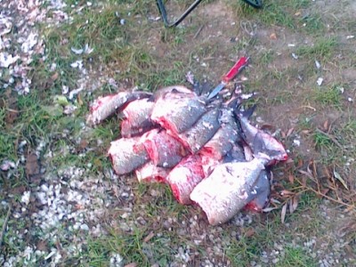 20110921226-1.JPG