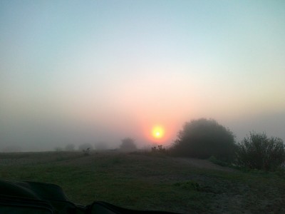 20110921210.JPG